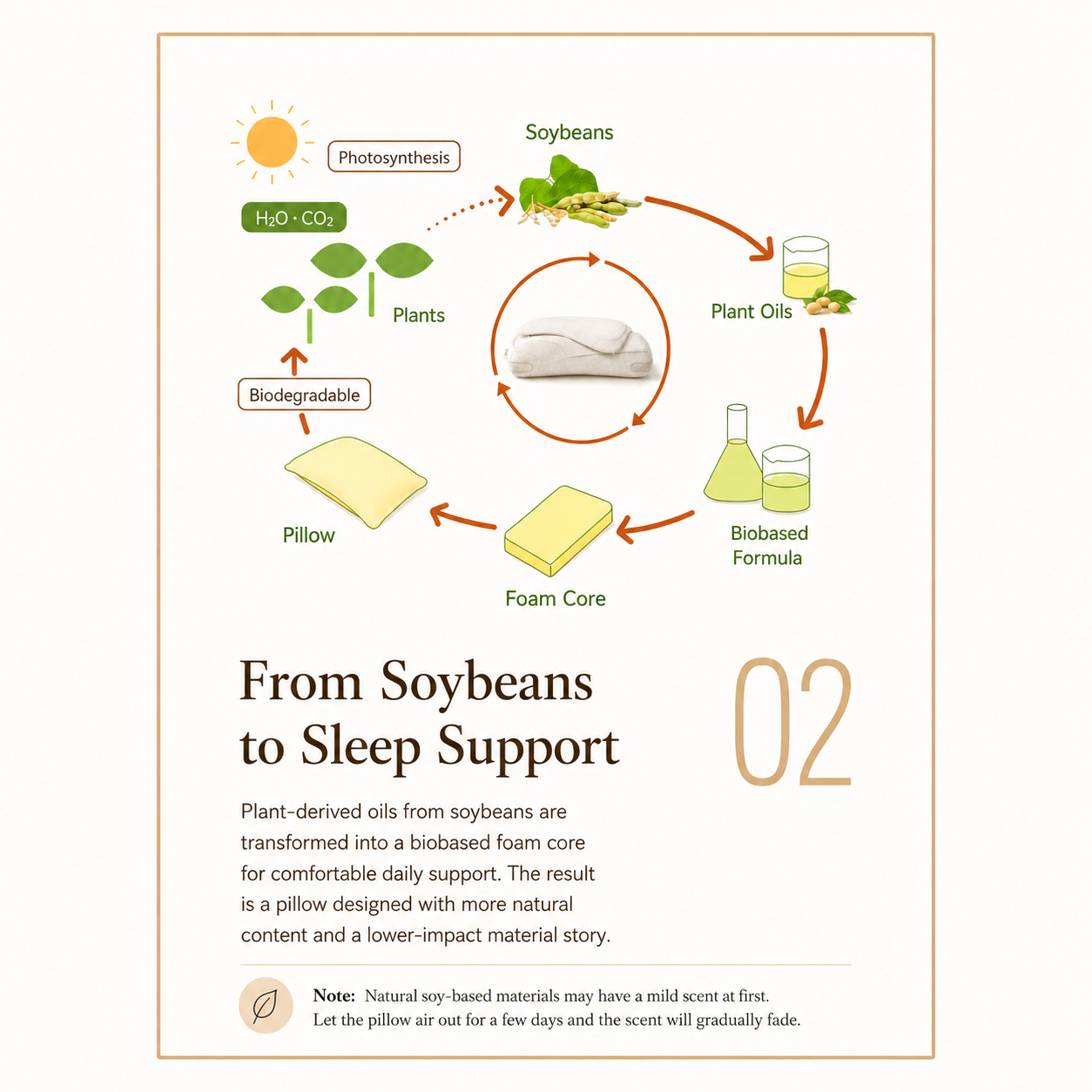 Soy-Based Memory Foam Neck Pillow